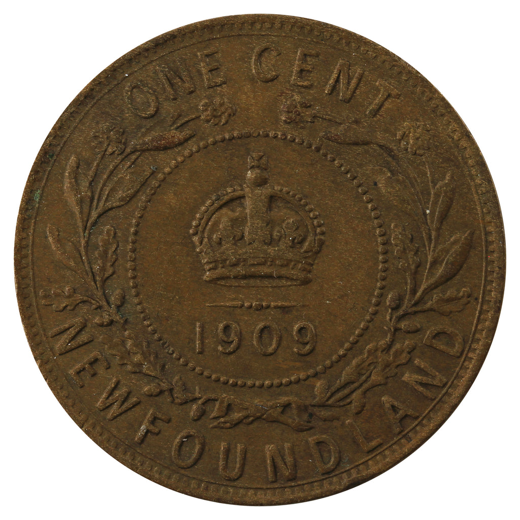 1909 Newfoundland 1-cent Extra Fine (EF40)