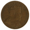 1909 Newfoundland 1-cent Extra Fine (EF40)