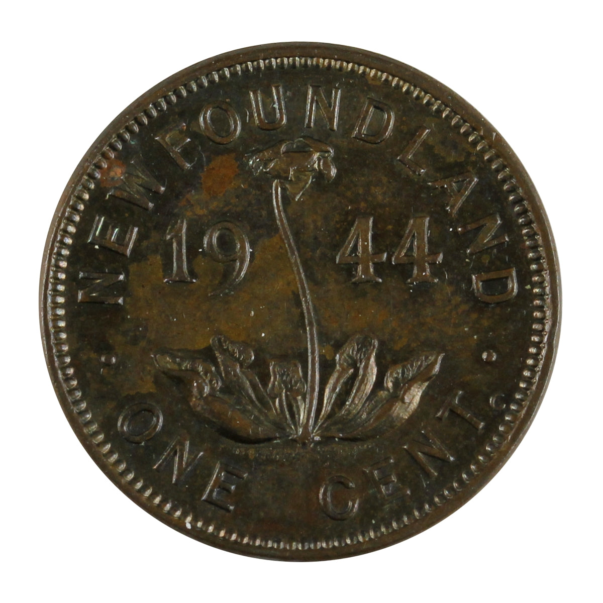 1944C Newfoundland 1-cent Almost Uncirculated (AU50) $