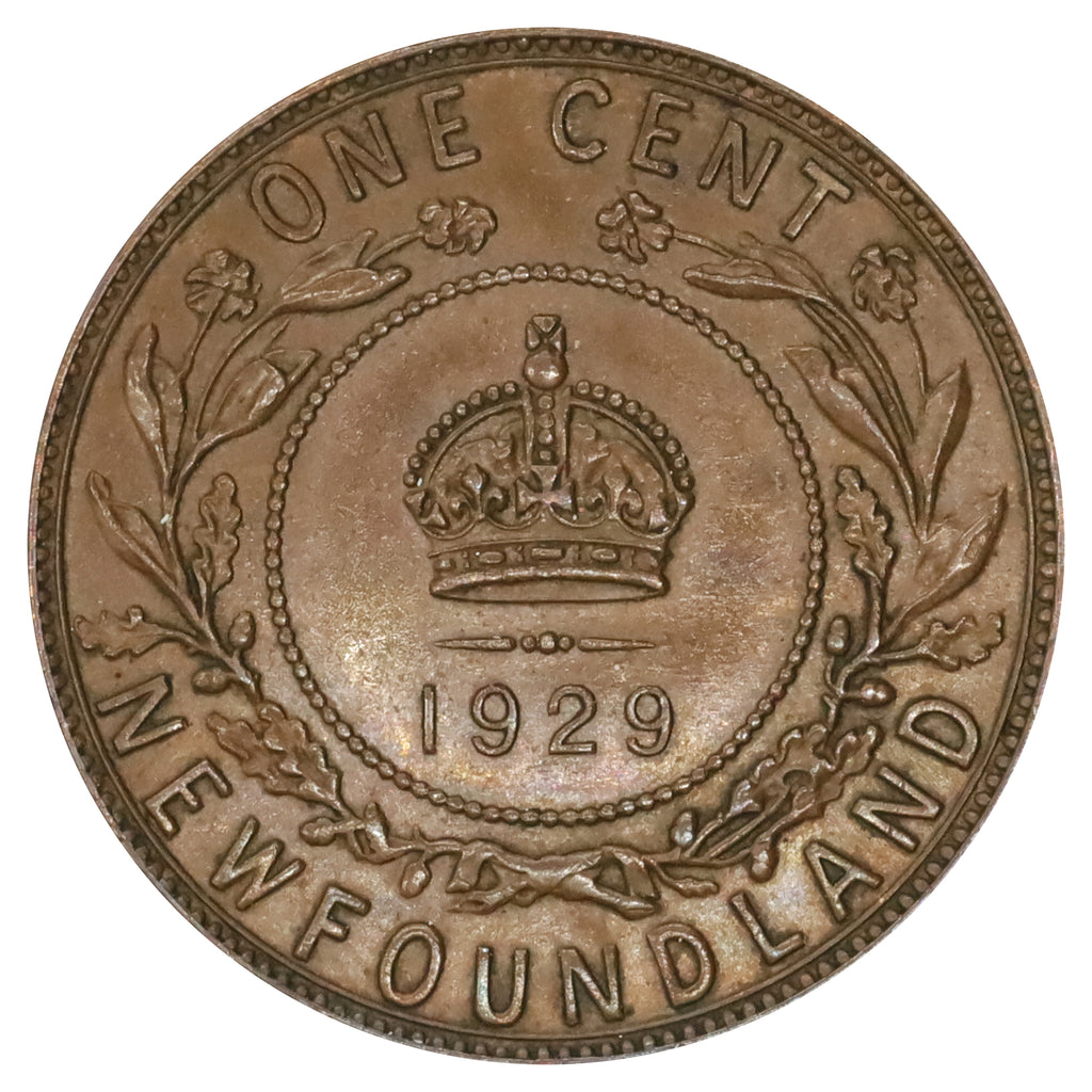 1929 Newfoundland 1-cent Almost Uncirculated (AU50)