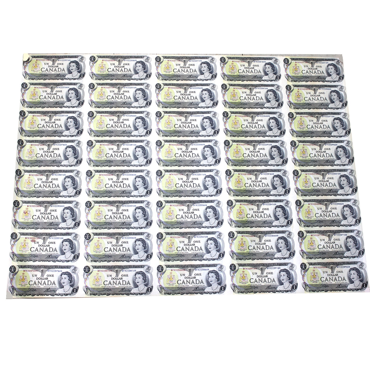 Uncut Sheet of 40x 1973 Canada $1 Notes, BFK Prefix, in Tube - 5x8 (See description)