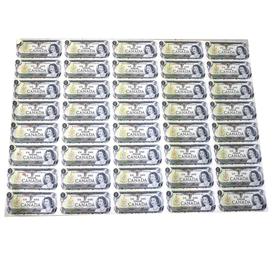 Uncut Sheet of 40x 1973 Canada $1 Notes, BFK Prefix, in Tube - 5x8 (See description)