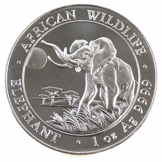 2016 Somali Republic 100 Shillings African Elephant 1oz Silver (No Tax) Flaws
