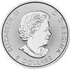 2016 Canada 1.25oz Bison .999 Silver Coin (TAX Exempt) Scratched/Toning