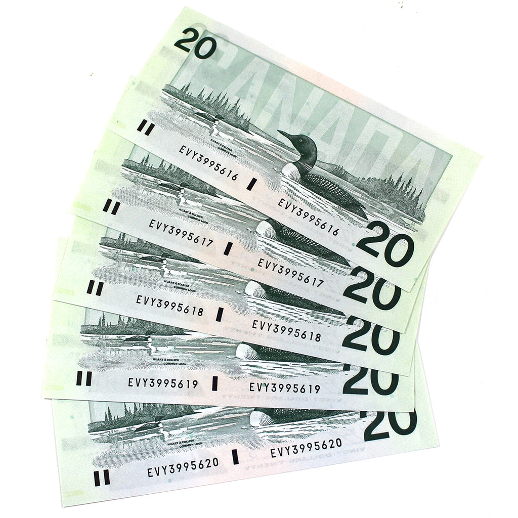Lot of 5x Sequential 1991 Canada $20 Notes, Knight-Dodge, 5Pcs