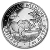 2019 Somalia 100 Shillings Elephant 1oz. .999 Silver (No Tax) Lightly Toned