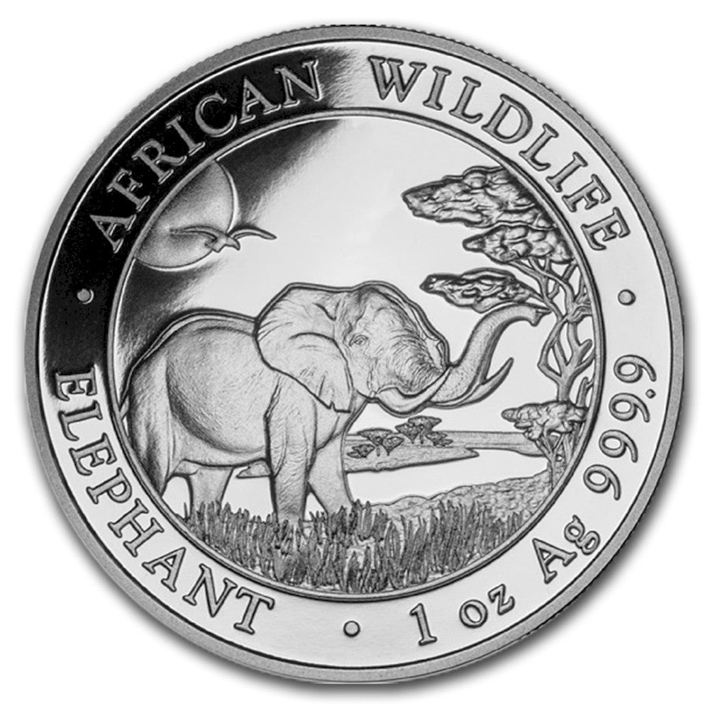 2019 Somalia 100 Shillings Elephant 1oz. .999 Silver (No Tax) Lightly Toned