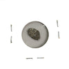 Russia 1672-1725 Wire Money, Peter the Great Kopek Fine (F-12)