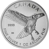 2015 Canada $5 Birds of Prey: Red-Tailed Hawk 1oz Silver (No Tax) Seal Scratches