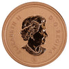 2010 Magnetic Canada 1-cent Specimen (Scratched, marks, or impaired)