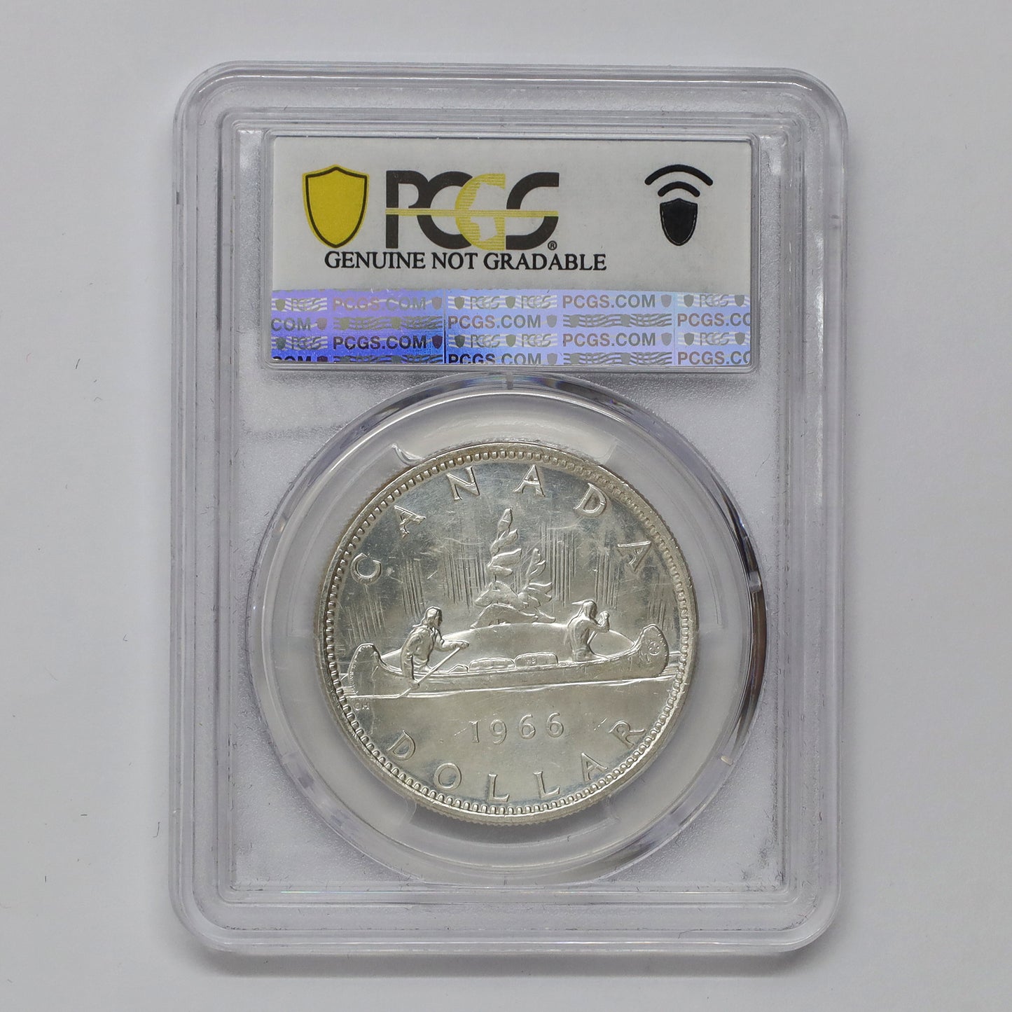 1966 Large Beads Canada Dollar PCGS Certified MS60 (Cleaned)