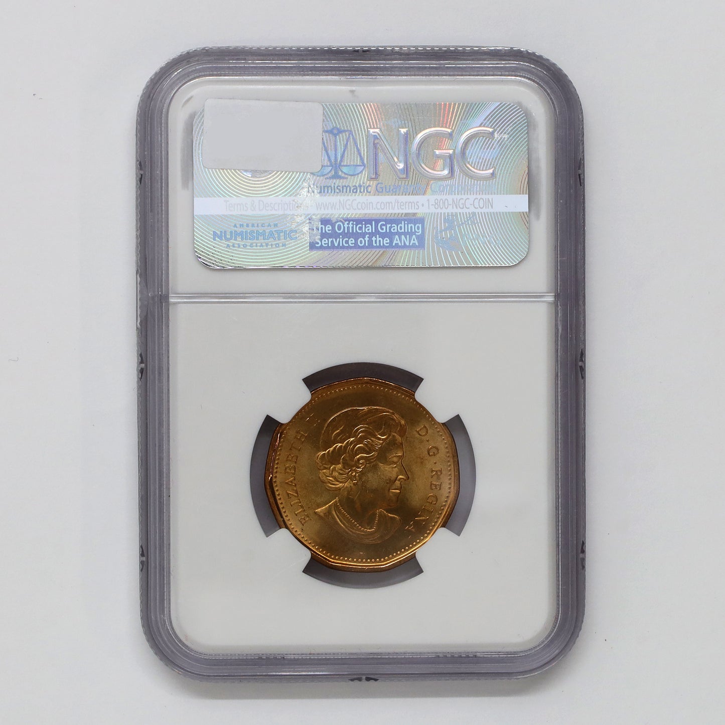 2010 Saskatchewan Roughriders Canada Loon Dollar NGC Certified MS67 (DOD)