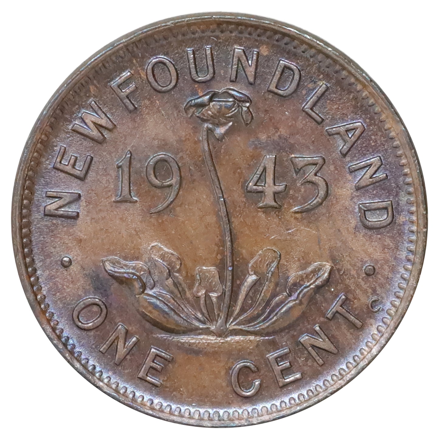 1943C Newfoundland 1-cent Brilliant Uncirculated (MS63) Lustrous Brown