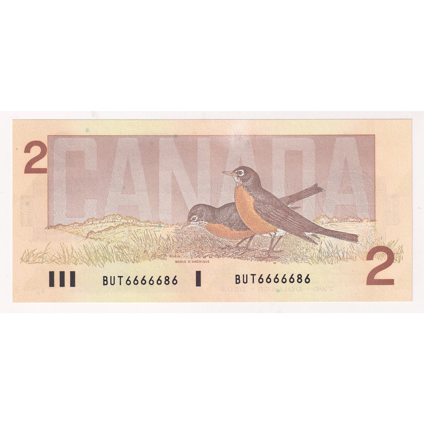 BC-55b 1986 Canada $2 Thiessen-Crow, Neat Number BUT6666686, CUNC63 (Tears or impaired)