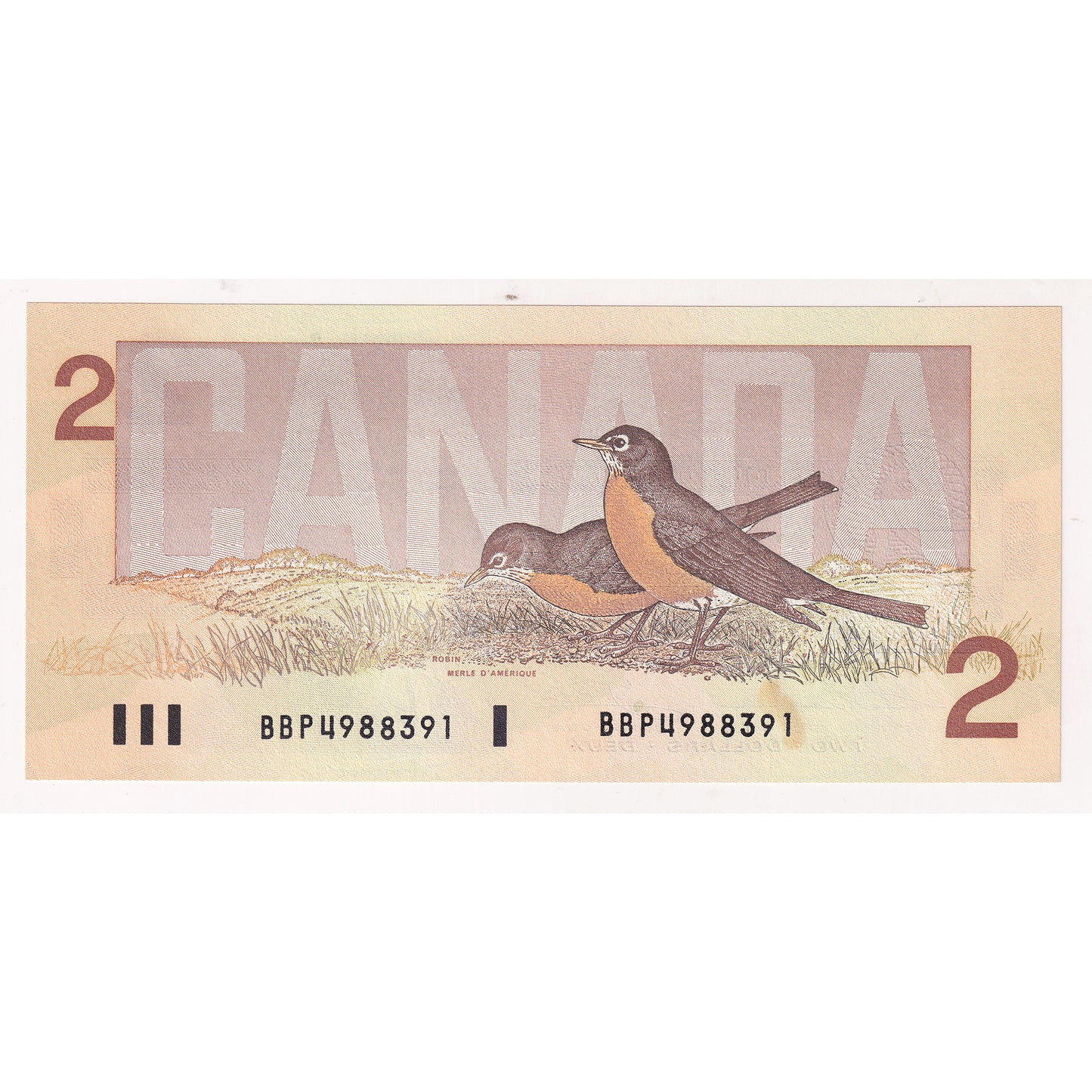 BC-55b 1986 Canada $2 Thiessen-Crow, Small BBP, AU-UNC (AU55) Tears, stain, or impaired