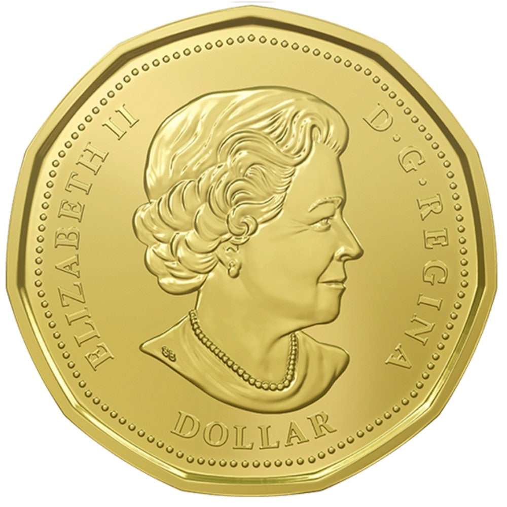 2016 Canada $1 Lucky Loonie 5-coin Circulation Pack