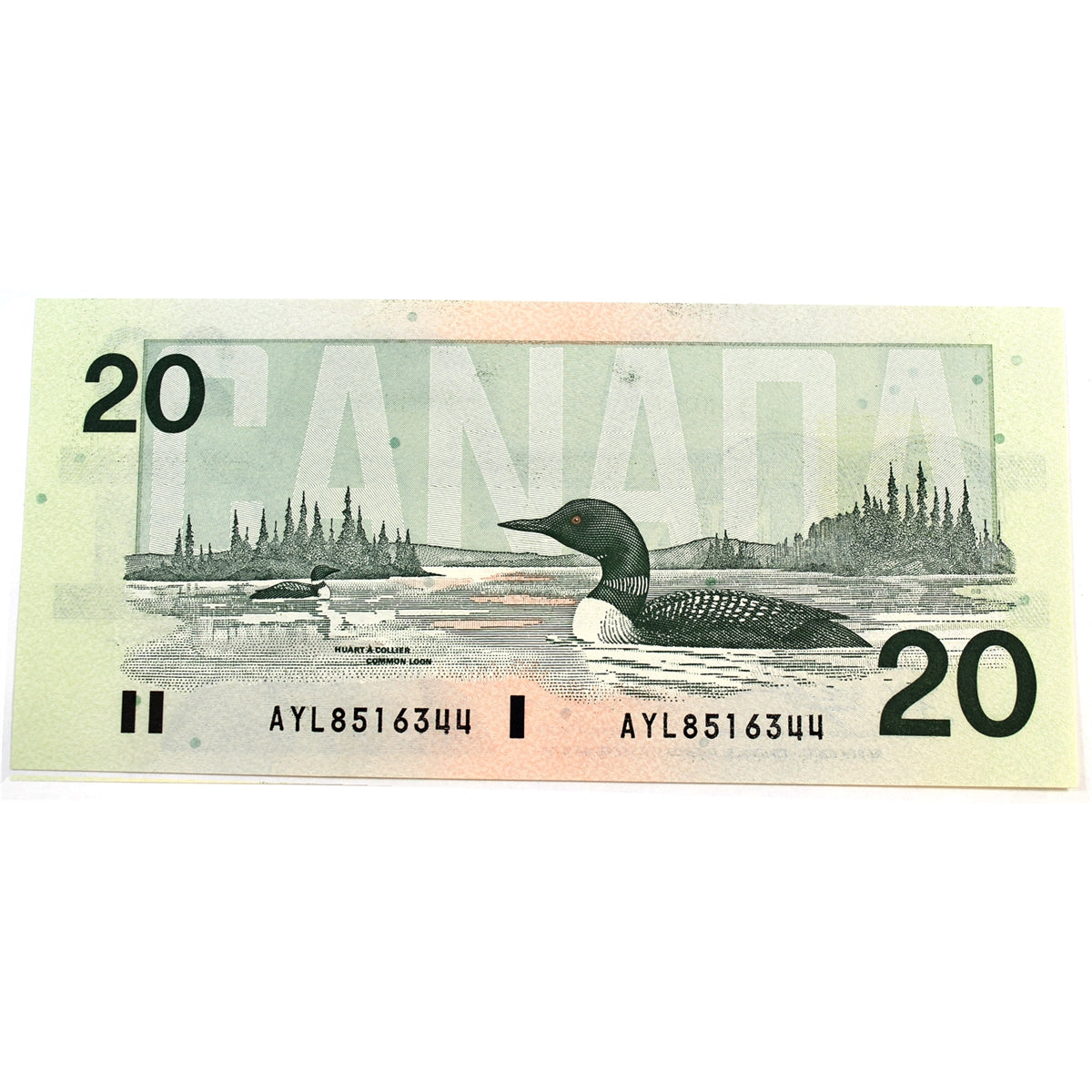 BC-58d-i 1991 Canada $20 Knight-Dodge, AYL, Choice Uncirculated (CUNC63)