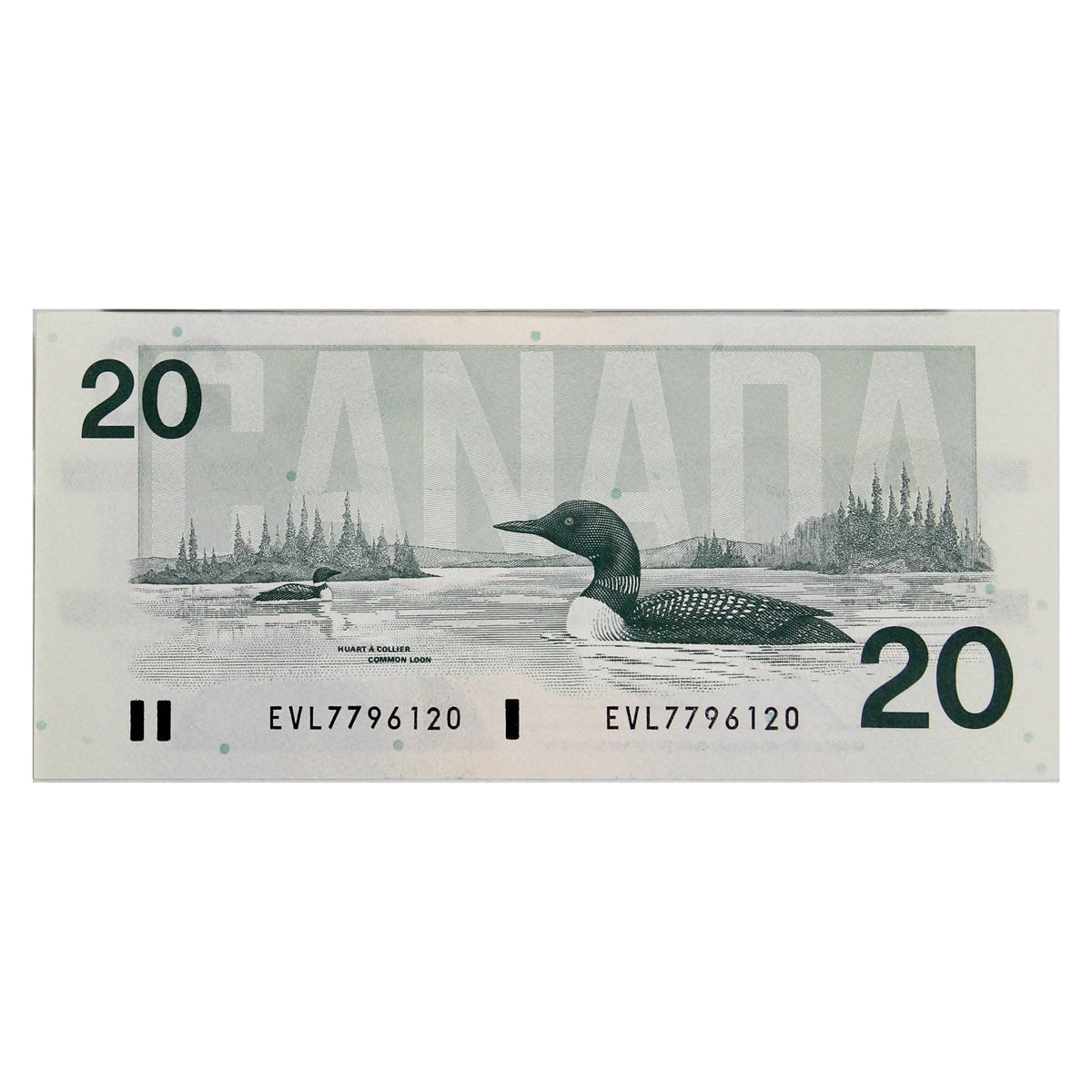 BC-58b 1991 Canada $20 Bonin-Thiessen, EVL, Almost Uncirculated (AU50)