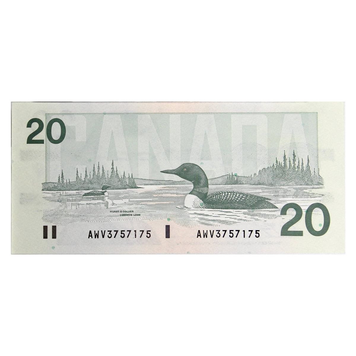 BC-58d-i 1991 Canada $20 Knight-Dodge, AWV, AU-UNC (AU55)