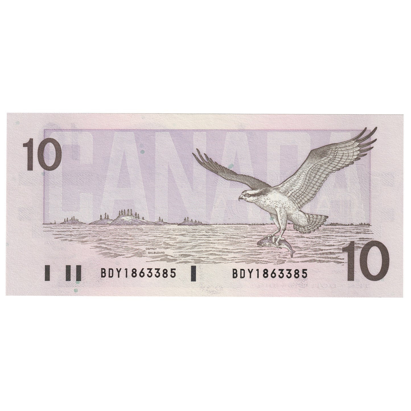 BC-57b 1989 Canada $10 Bonin-Thiessen, BDY, AU-UNC (AU55)