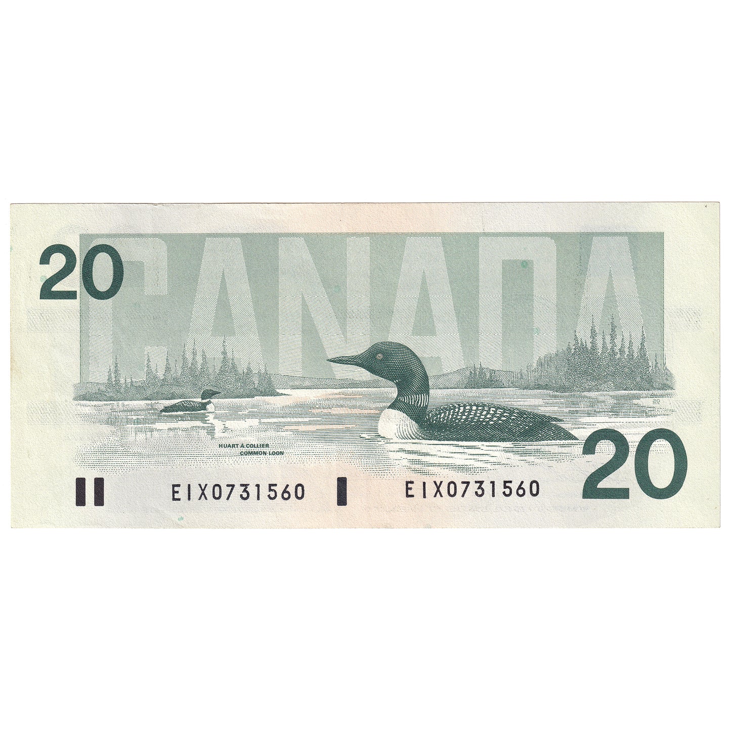 BC-58aA 1991 Canada $20 EIX w/o Serifs EF-AU