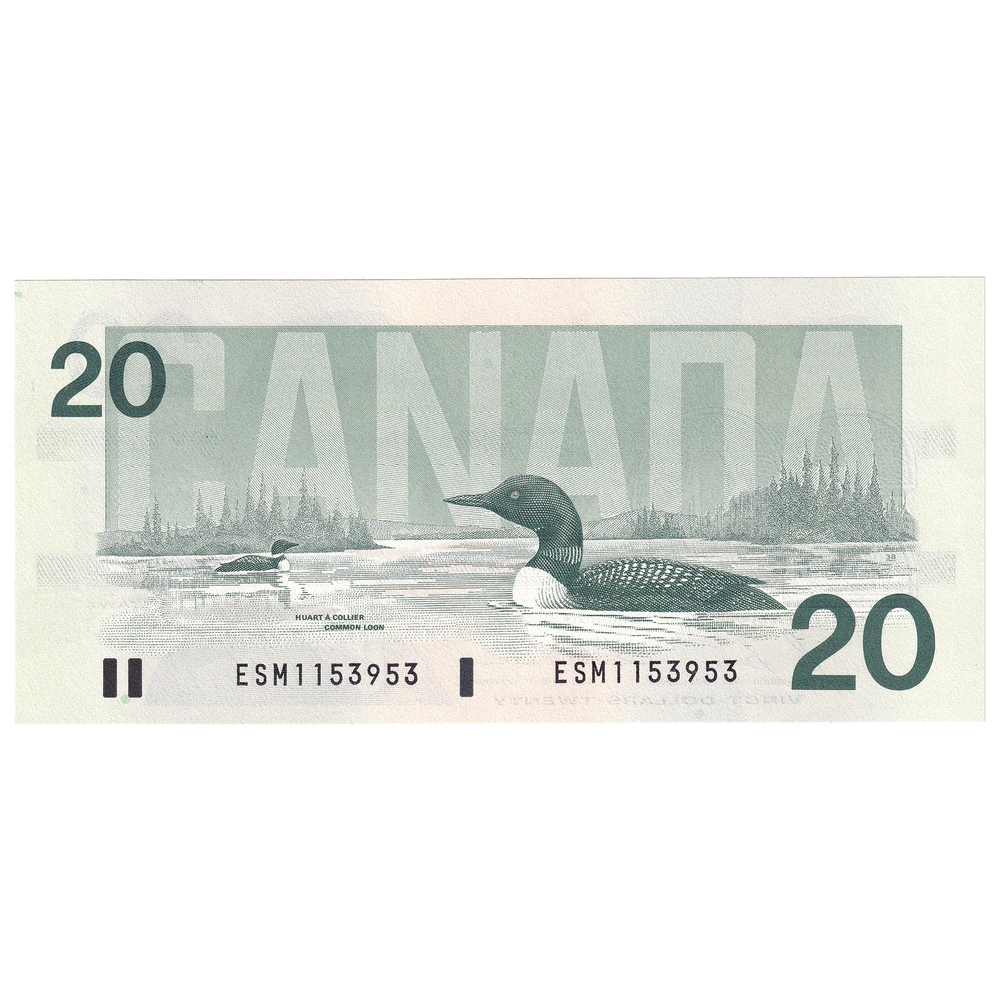 BC-58b 1991 Canada $20 Bonin-Thiessen, ESM, CUNC