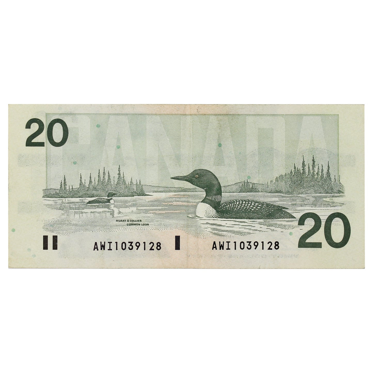 BC-58cA 1991 Canada $20 Knight-Thiessen, AWI (1.000-1.100), VF-EF (VF30)