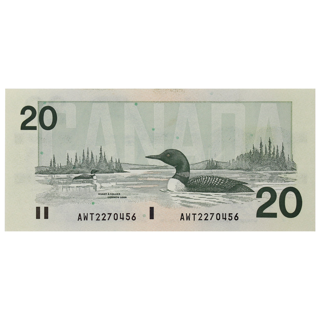 BC-58d-i 1991 Canada $20 Knight-Dodge, AWT, Uncirculated (MS60)