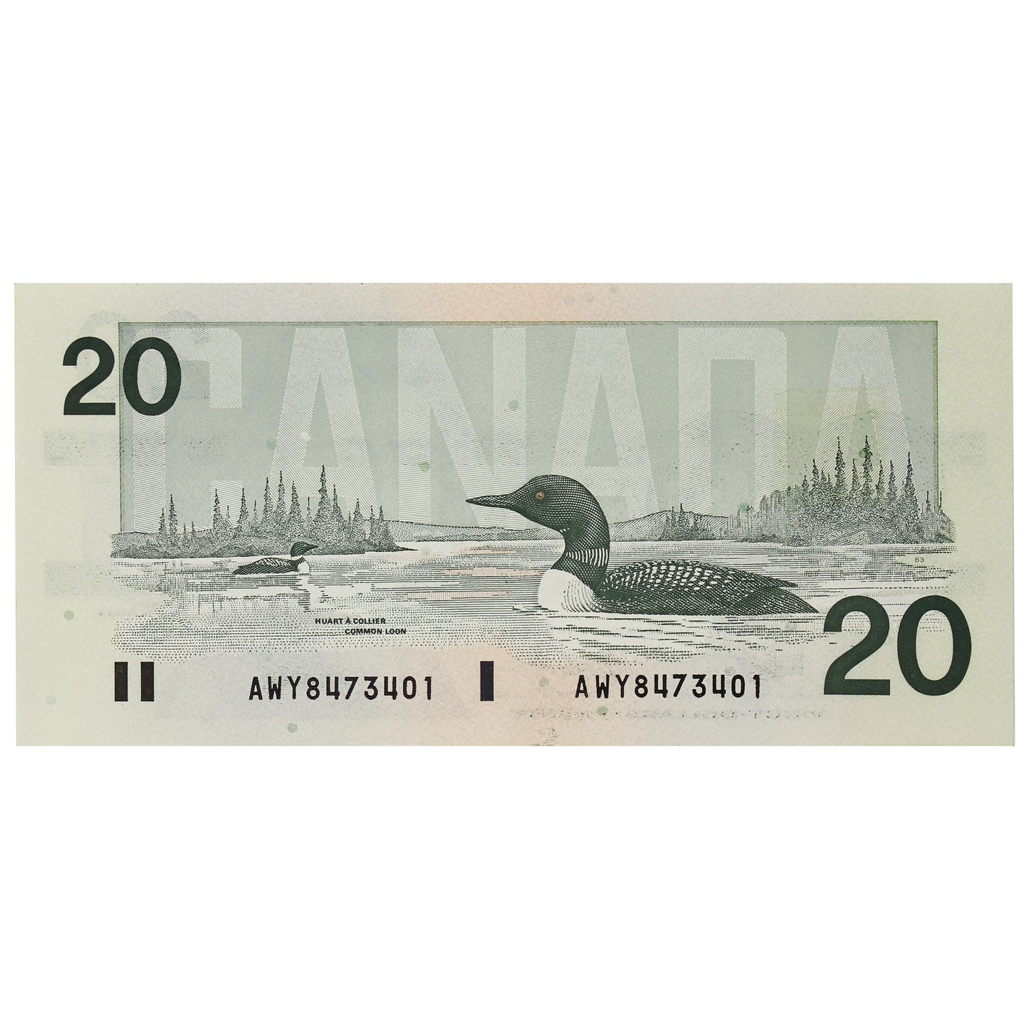 BC-58d-i 1991 Canada $20 Knight-Dodge, AWY, AU-UNC (AU55)