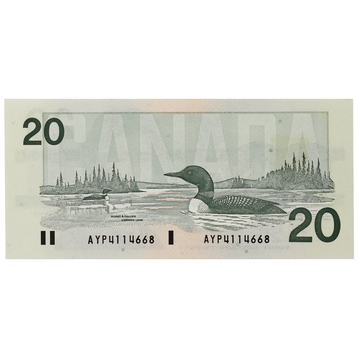 BC-58d-i 1991 Canada $20 Knight-Dodge, AYP, Almost Uncirculated (AU50)