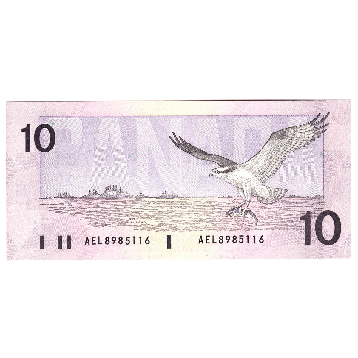 BC-57a 1989 Canada $10 Thiessen-Crow, AEL, Uncirculated (MS60)
