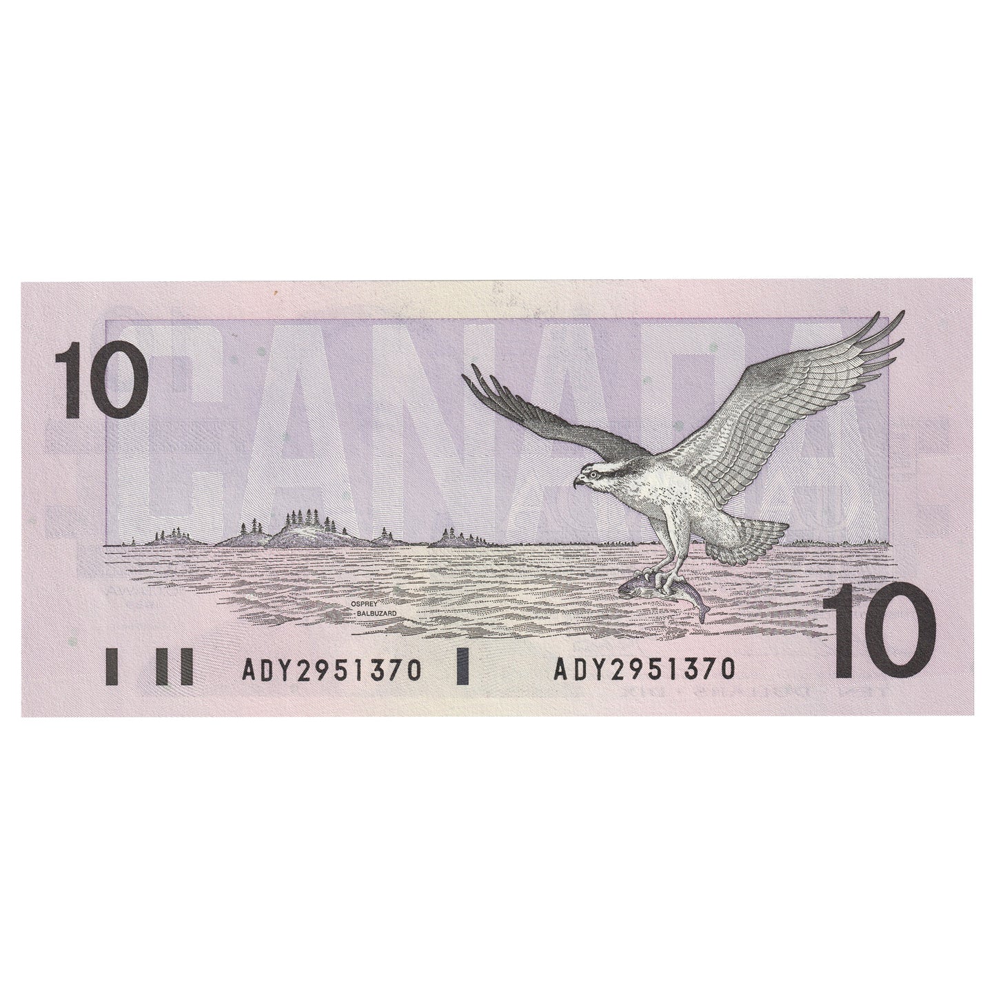 BC-57a 1989 Canada $10 Thiessen-Crow, ADY, Uncirculated (MS60)