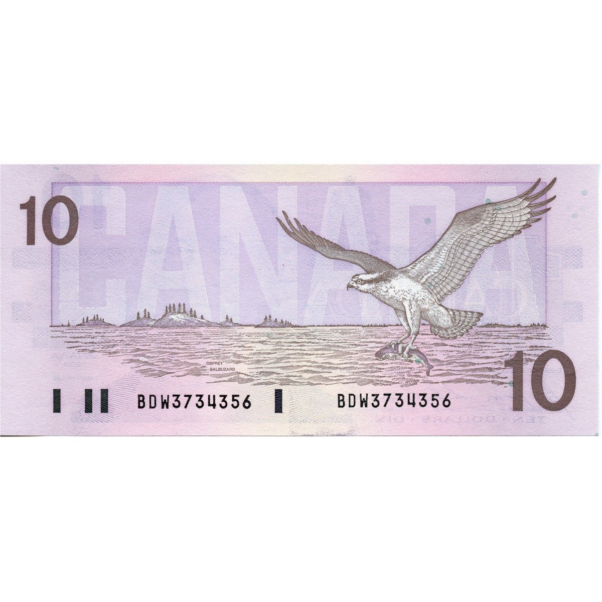 BC-57b 1989 Canada $10 Bonin-Thiessen, BDW, Uncirculated (MS60)