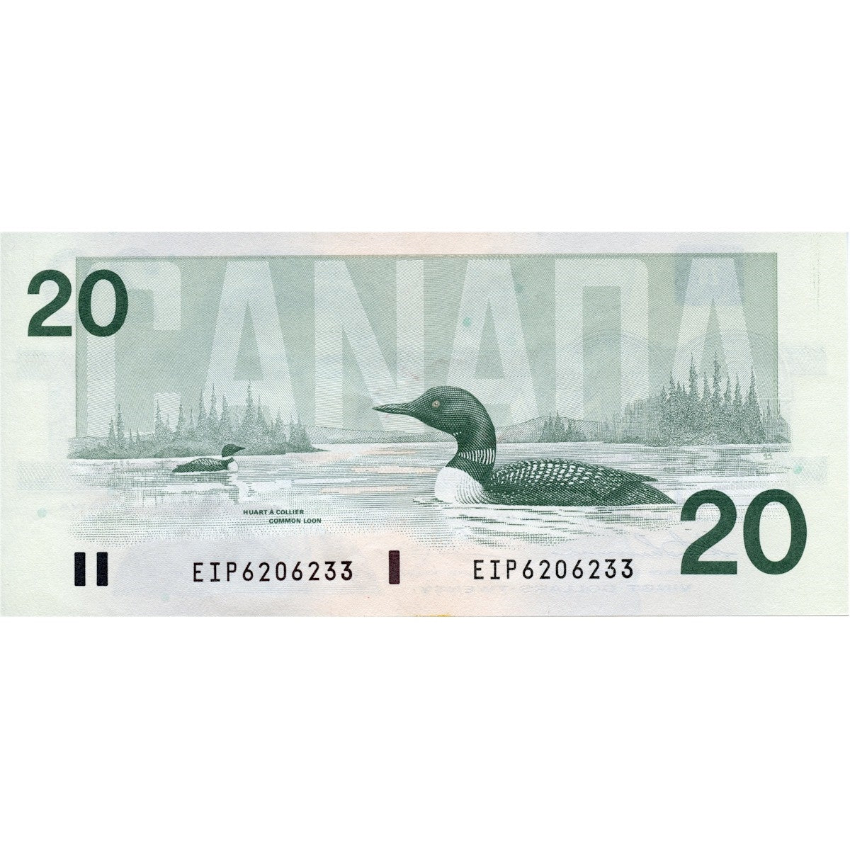 BC-58a-i 1991 Canada $20 Thiessen-Crow, EIP, Circ