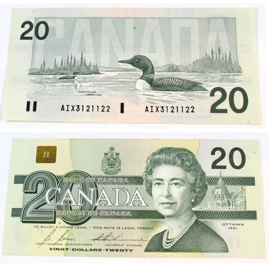 BC-58bA-i 1991 Canada $20 Bonin-Thiessen, AIX, EF-AU