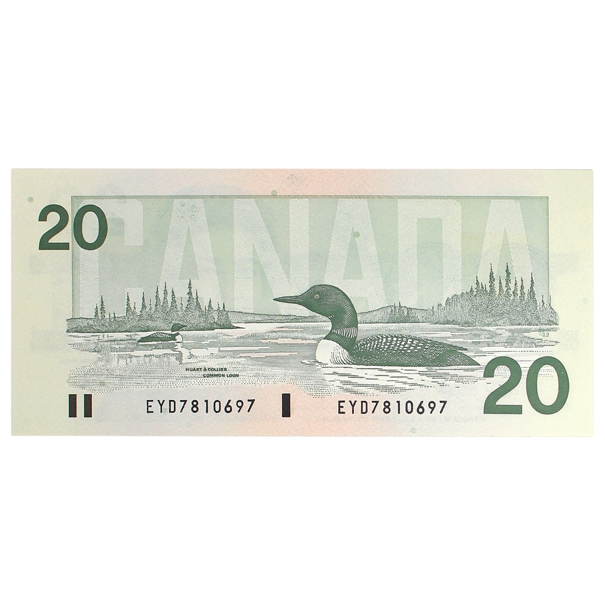 BC-58dA 1991 Canada $20 Knight-Dodge, EYD (7.677-7.848), Choice Uncirculated (CUNC63)