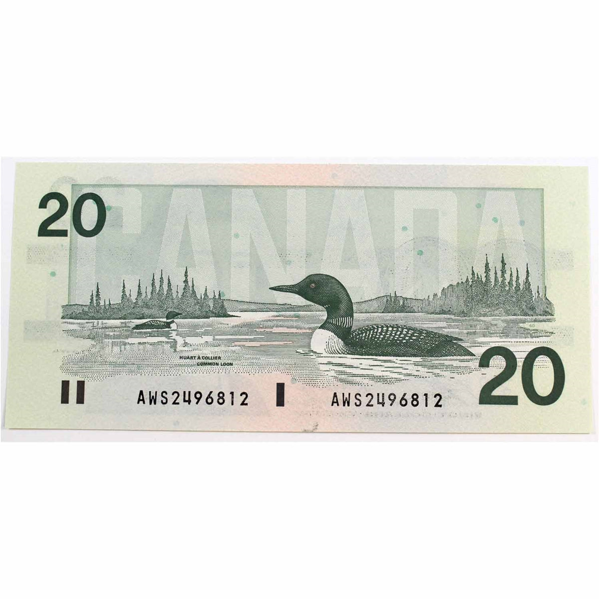 BC-58d-i 1991 Canada $20 Knight-Dodge, AWS, Choice Uncirculated (CUNC63)