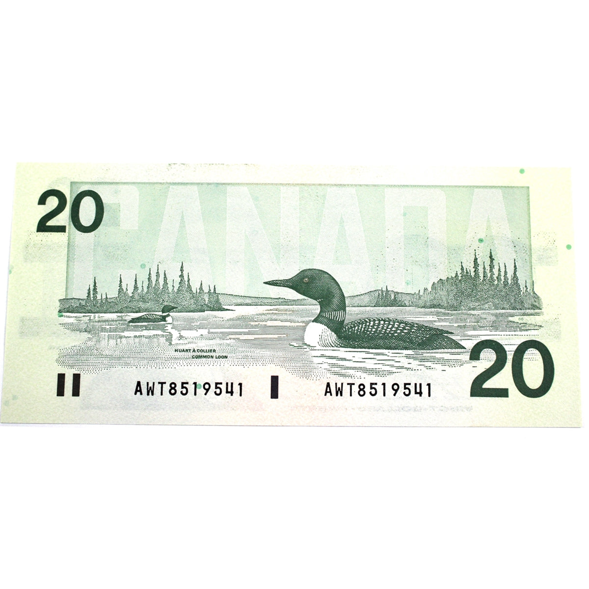 BC-58d-i 1991 Canada $20 Knight-Dodge, AWT, Choice Uncirculated (CUNC63)
