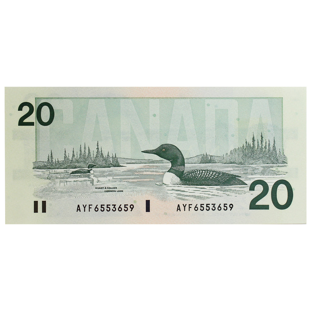 BC-58d-i 1991 Canada $20 Knight-Dodge, AYF, Uncirculated (MS60)