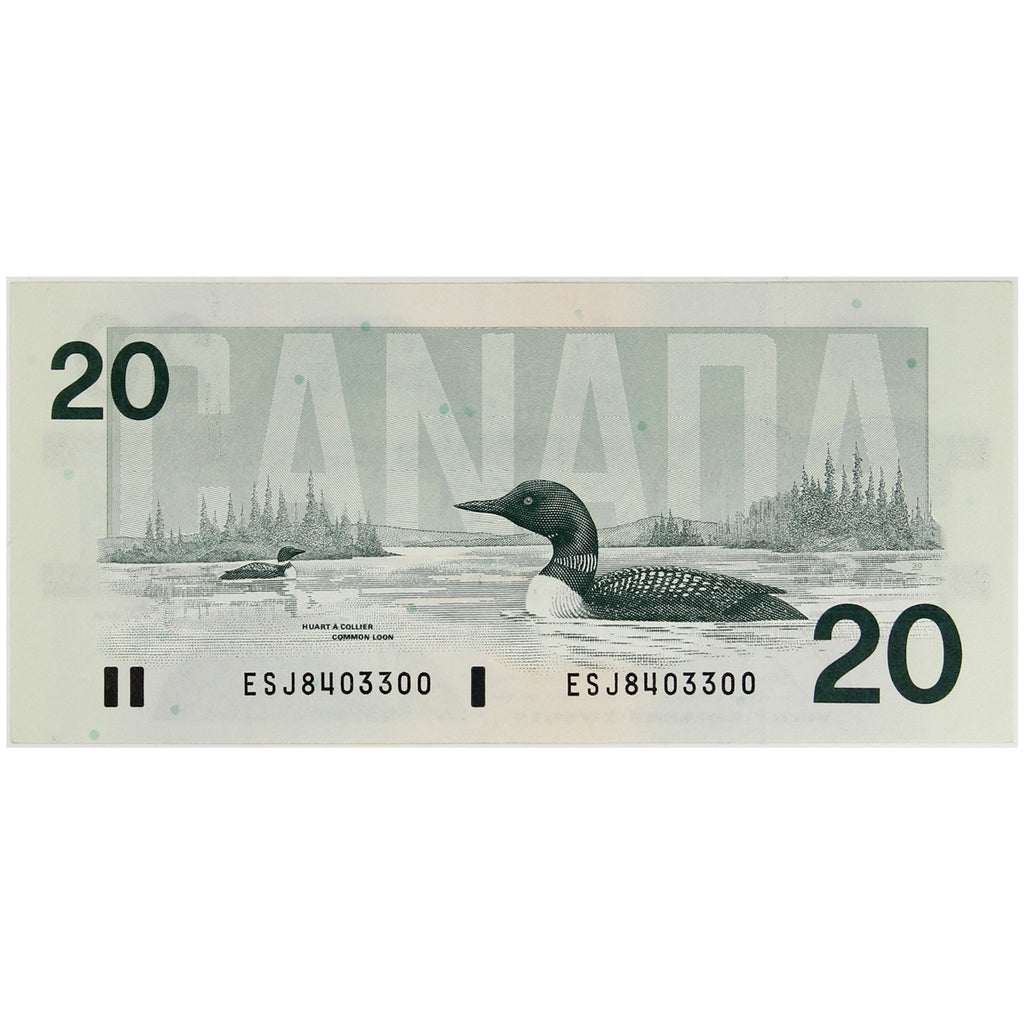 BC-58b 1991 Canada $20 Bonin-Thiessen, ESJ, EF-AU