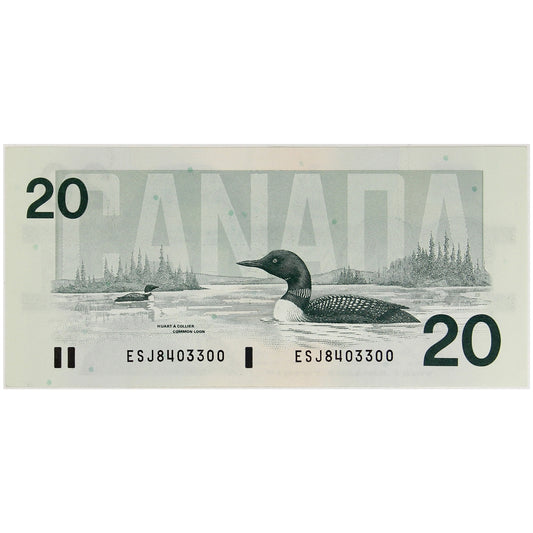 BC-58b 1991 Canada $20 Bonin-Thiessen, ESJ, EF-AU