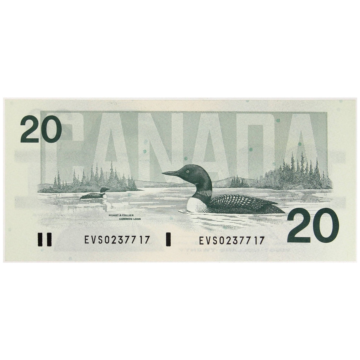 BC-58b 1991 Canada $20 Bonin-Thiessen, EVS, Uncirculated (MS60)