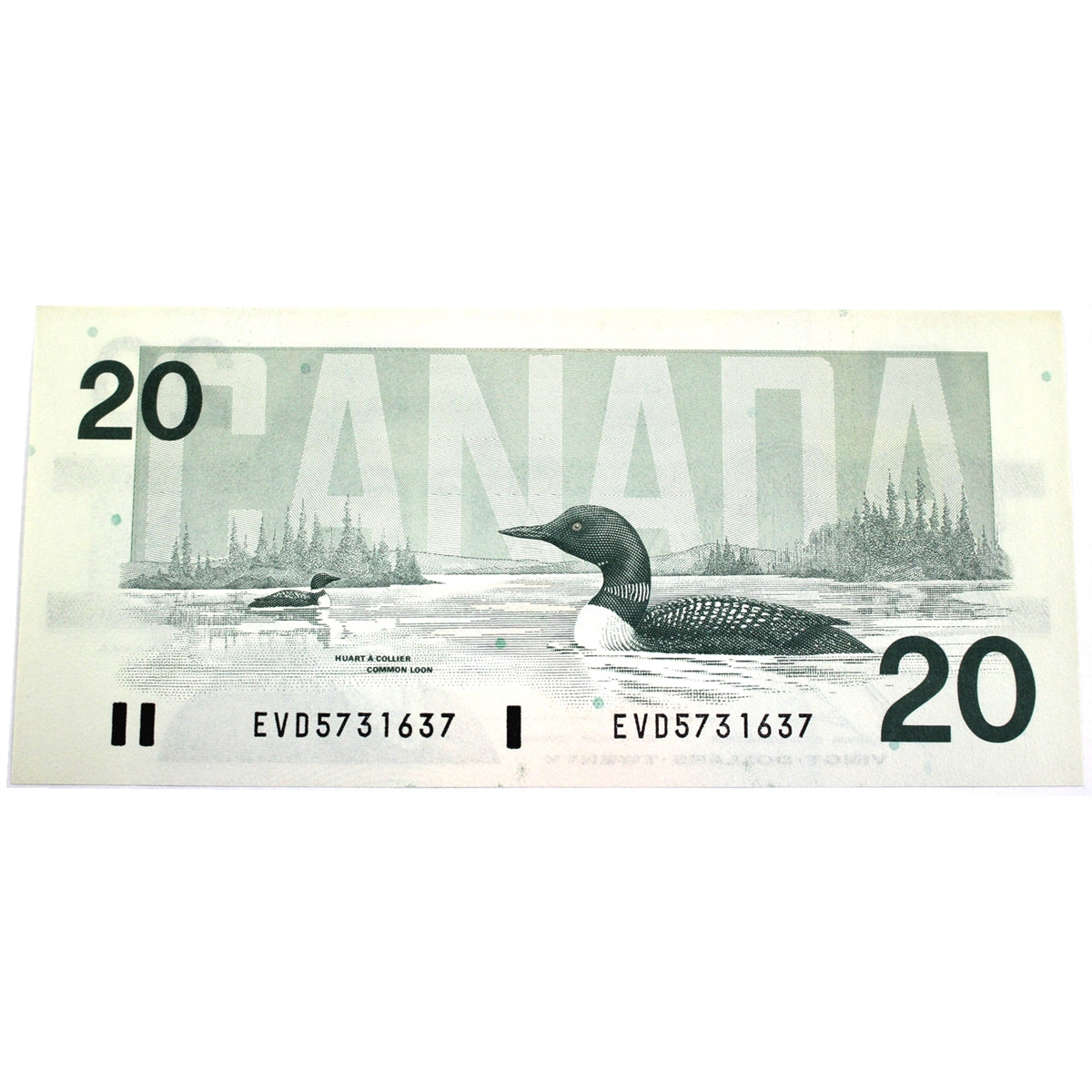 BC-58b-ii 1991 Canada $20 Bonin-Thiessen, EVD no BPN, Choice Uncirculated (CUNC63)
