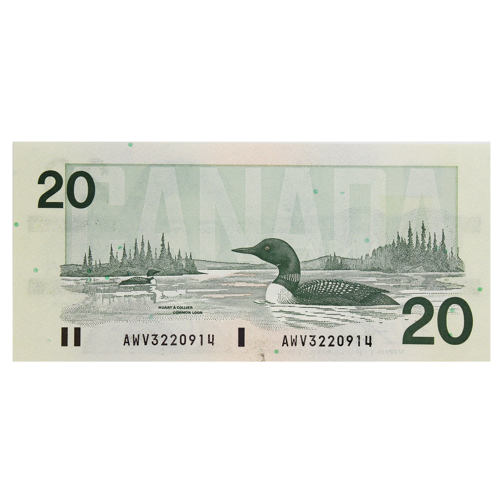 BC-58d-i 1991 Canada $20 Knight-Dodge, AWV, Uncirculated (MS60)