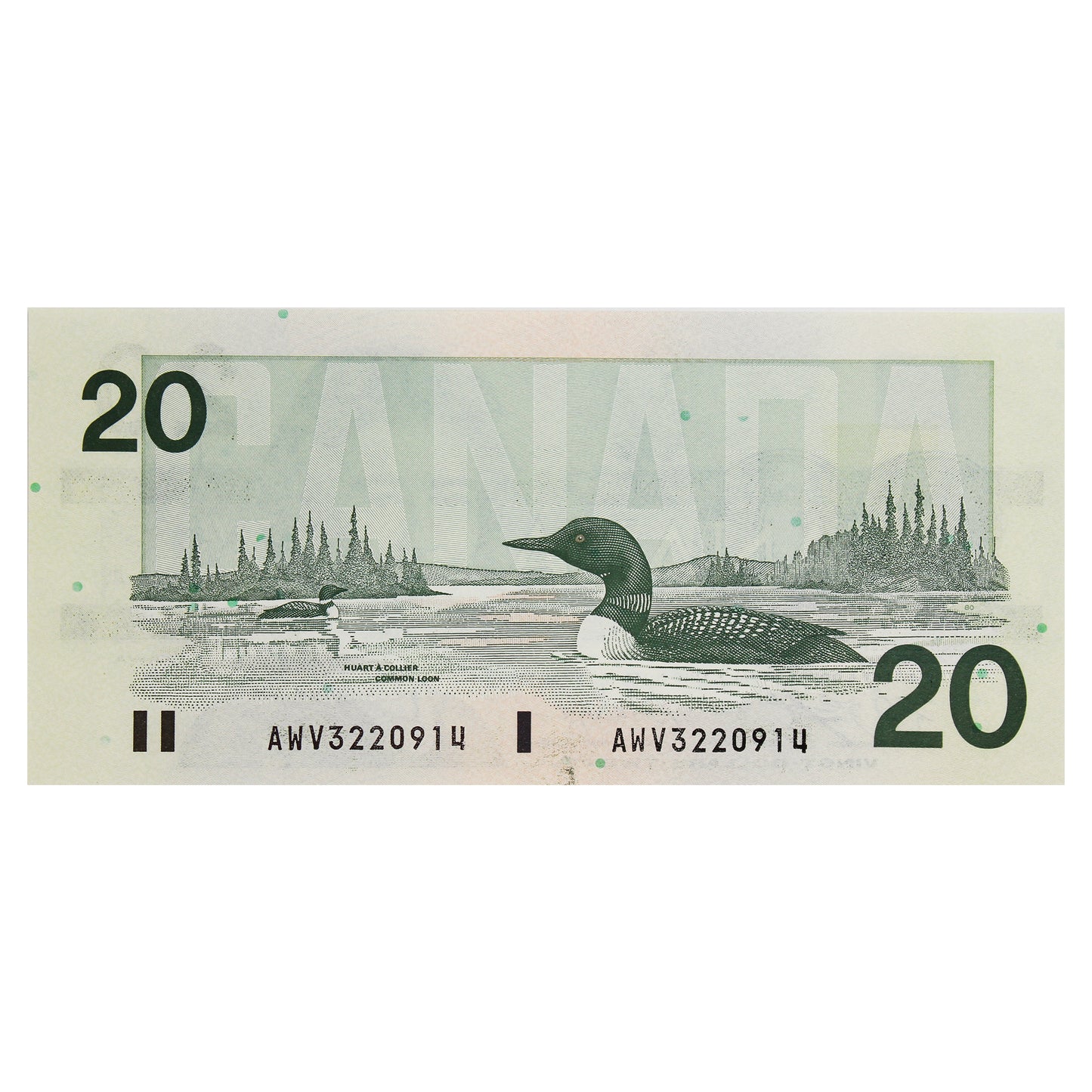 BC-58d-i 1991 Canada $20 Knight-Dodge, AWV, Uncirculated (MS60)