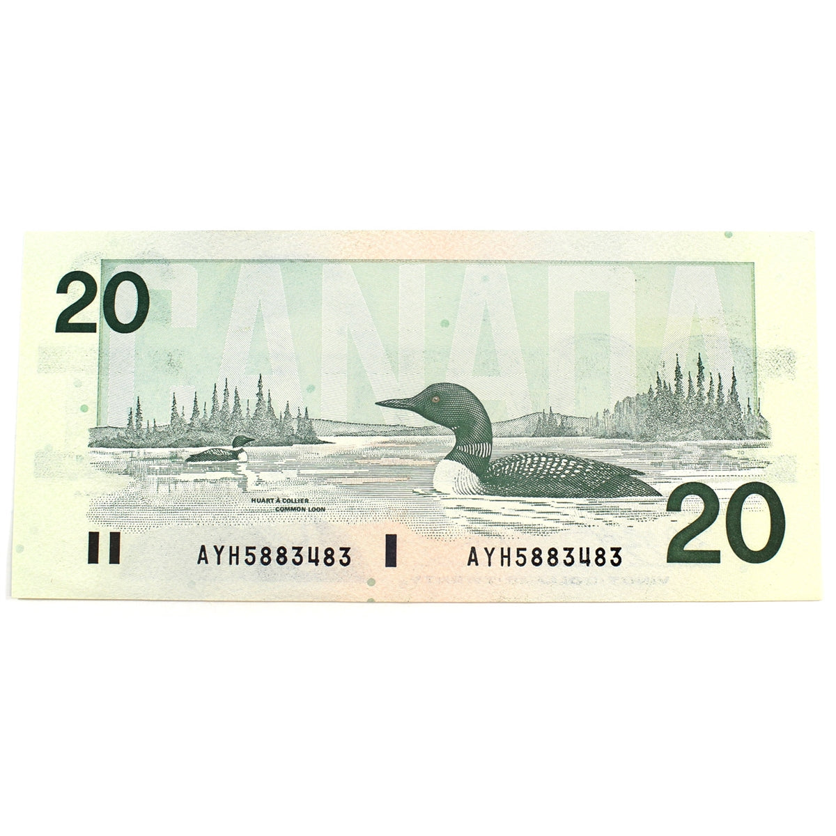 BC-58d-i 1991 Canada $20 Knight-Dodge, AYH, Almost Uncirculated (AU50)