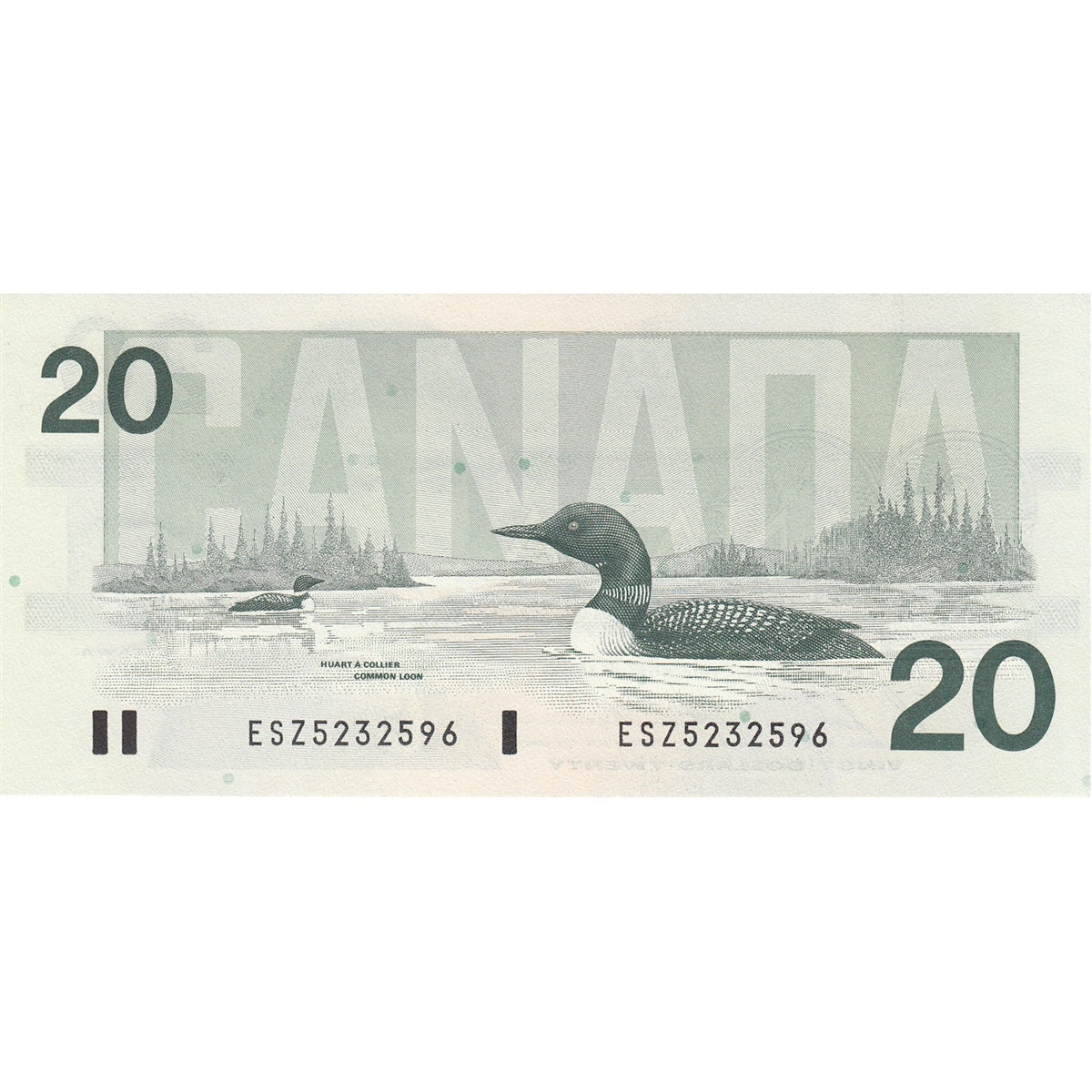 BC-58b-ii 1991 Canada $20 Bonin-Thiessen, ESZ w/o BPN, Almost Uncirculated (AU50)