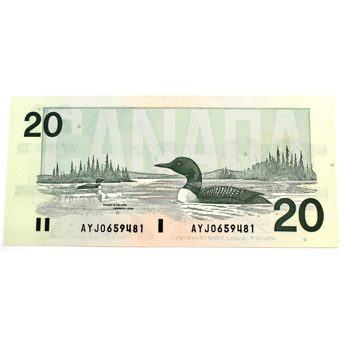 BC-58d-i 1991 Canada $20 Knight-Dodge, AYJ, Choice Uncirculated (CUNC63)