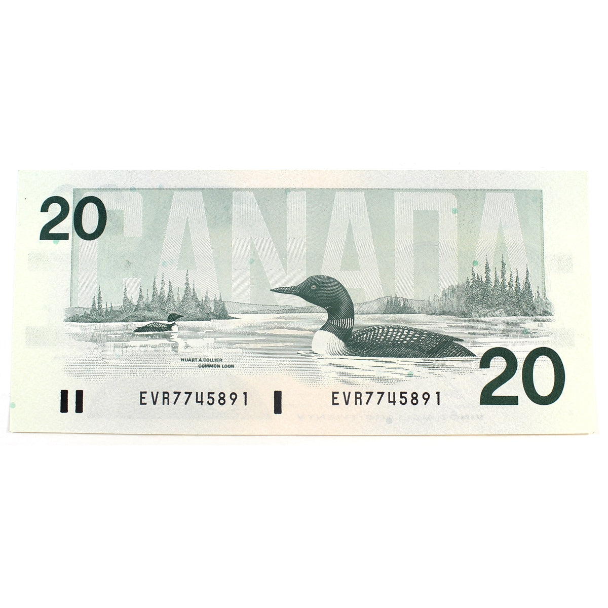 BC-58b 1991 Canada $20 Bonin-Thiessen, EVR, Uncirculated (MS60)