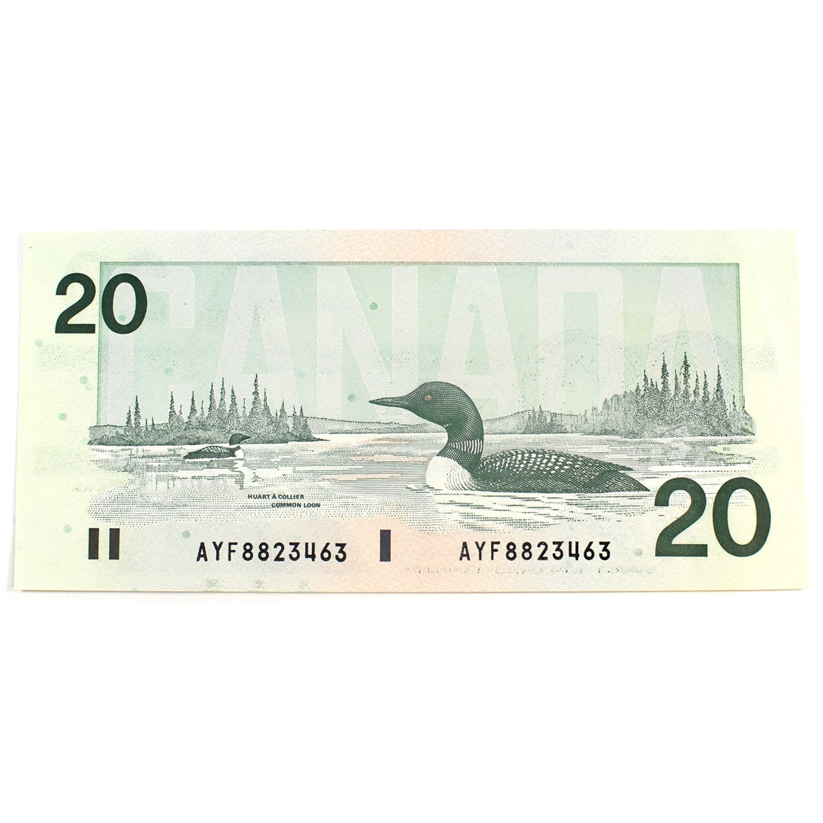 BC-58d-i 1991 Canada $20 Knight-Dodge, AYF, Almost Uncirculated (AU50)